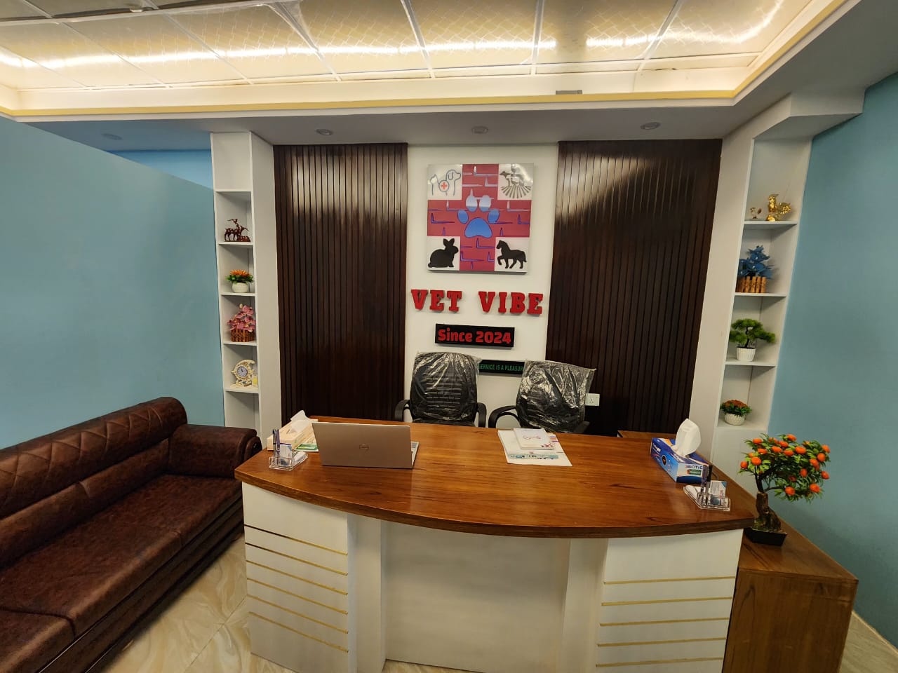 Vet Vibe clinic environment