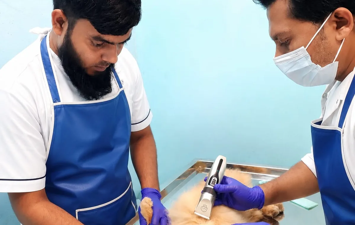 Veterinary deworming service